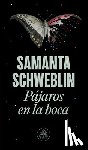 Schweblin, Samanta - Pàjaros En La Boca / Mouthful of Birds: Stories