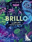 Smith, Jennifer N. R. - Brillo / Glow: Las Asombrosas Maravillas de la Bioluminescencia / The Amazing Wonders of Bioluminescence