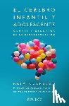 Guerrero, Rafa - El Cerebro Infantil Y Adolescente: Claves Y Secretos de la Neuroeducación / The Brain of Children and Teens
