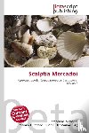  - Scalptia Mercadoi