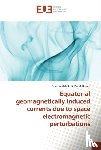 Binti Mohd Kasran, Farah Adilah - Equatorial geomagnetically induced currents due to space electromagnetic perturbations