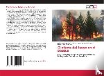 Luciáñez Sánchez, María José, Rubio Gómez, Enrique, Vega Manchón, Marta - El efecto del fuego en el bosque