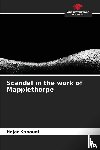 Kaboudi, Hajer - Scandal in the work of Mapplethorpe