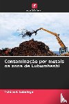 Lubalega, Tolerant - Contaminacao por metais na zona de Lubumbashi