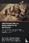 Morales Vargas, Maria Jose, Vazquez Contreras, Lorena, Perez Mendez, Karla Denisse - Gestione Della Precarieta in Messico