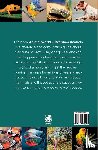 Editora, Camelot Editora - Animal World