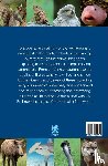 Editora, Camelot - Animal World