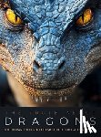 Quinete, Ziggy - The Truth About Dragons: The Ultimate Illustrated Art Guide for Fantasy Lovers