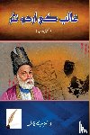 Maryam Fatima - Ghalib ki Urdu nasar
