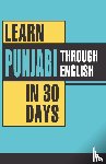 Vikal, Krishna Gopal - Learn Punjabi Through English in 30 Days