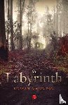 Udayan, Majumdar - Labyrinth