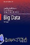  - Big Data - A Primer