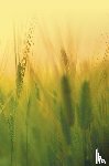 Sharma, Harsha - Agricultural Microbiology