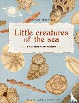 Panieri, Giuliana, Cassani, Roberta - Little Creatures of the Sea - Book about Foraminifera