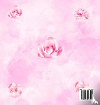 Lukesun, Luis - 100th Birthday Guest Book