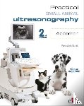 Mantis, Panagiotis - Practical Small Animal Ultrasonography - Abdomen 2nd Edition