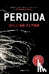 Flynn, Gillian, Palmer, Óscar - Flynn, G: Perdida