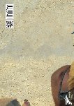 Güiraldes, Ricardo - Notas biográficas