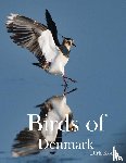 Kotze, Dirk - Kotze, D: Birds of Denmark