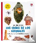 Accinelli, Gianumberto - Casas de Los Animales, Las