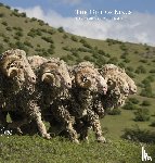 Piana, Loro - The Gift of Kings