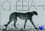 Mark Segal - Cheetah - Cheetah