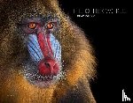 Wilson, Brad, Flores, Dan - The Other World: Animal Portraits
