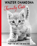 Chandoha, Walter - Walter Chandoha: Family Cats From the Archive 1949-1962
