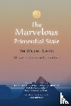  - The Marvelous Primordial State