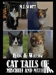 Scott, M L - Felix & Willow cat tails of mischief and mayhem