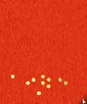 Phaidon - Het kerstboek