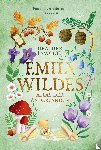 Fawcett, Heather - Emily Wildes atlas der Anderlanden