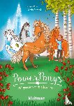 Rose, Barbara - Het geheim van de edelstenen