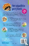 Jetten, Gertrud - Het gigadikke ponyboek