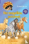 Jetten, Gertrud - Het megadikke ponyboek