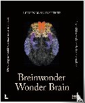 Vandenbulcke, Mathieu, Jeugd, Ann Van der - Breinwonder / Wonder Brain