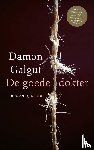 Galgut, Damon - De goede dokter