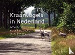 Feenstra, Herman - Kraanvogels in Nederland - Een unieke maar kwetsbare ontwikkeling