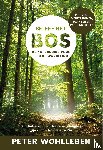 Wohlleben, Peter - Beleef het bos - De natuurgids voor iedere wandeling