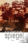 Delpeut, Peter - In het zwart van de spiegel