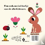 Arrhenius, Ingela P - Kuikentje, waar ben je?