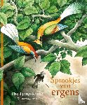 Tjong-Khing, Thé - Sprookjes van ergens