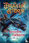 Chisholm, Alastair - De gestolen edelsteen