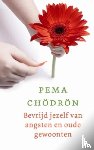 Chödrön, Pema - Bevrijd jezelf van angsten en oude gewoonten
