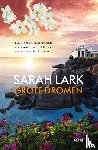 Lark, Sarah - Grote dromen