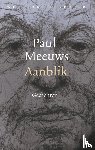 Meeuws, Paul - Aanblik
