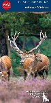  - Veluwe Midden