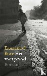 Bove, Emmanuel - Het voorgevoel