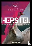 Stoorvogel, Mark - Herstel