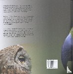 Schelvis, Jaap, Hoeve, Arno ten - Roofvogels & uilen in Europa